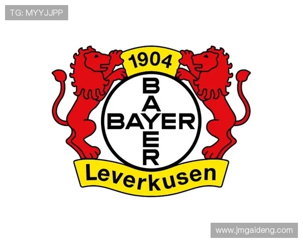 德甲18支球队队徽设计解析及象征意义探讨