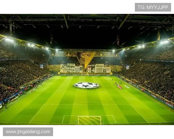 德甲球队主场球场大盘点：从安联到信号伊杜纳