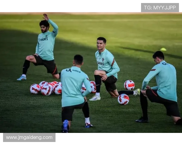 巴西罗纳尔多世界杯传奇征程与足球王者荣耀史诗回顾与巅峰时刻